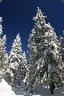 Cypress Mountain, Canada Stock Photos