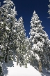 Cypress Mountain, Canada Stock Photos