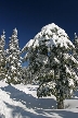 Cypress Mountain, Canada Stock Photos