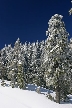 Cypress Mountain, Canada Stock Photos