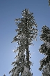 Cypress Mountain, Canada Stock Photos