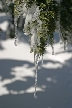 Cypress Mountain, Canada Stock Photos