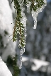 Backgrouns, Canada Stock Photos