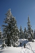 Cypress Mountain, Canada Stock Photos