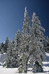 Cypress Mountain, Canada Stock Photos