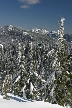 Cypress Mountain, Canada Stock Photos