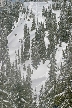 Cypress Mountain, Canada Stock Photos