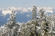 Cypress Mountain, Canada Stock Photos