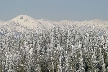 Cypress Mountain, Canada Stock Photos