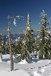 Cypress Mountain, Canada Stock Photos