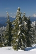 Cypress Mountain, Canada Stock Photos