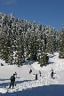 Cypress Mountain, Canada Stock Photos