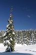 Cypress Mountain, Canada Stock Photos