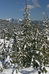 Cypress Mountain, Canada Stock Photos