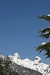 Lions Mount, Canada Stock Photos