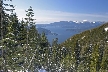 Winter At Grouse Mountains, Canada Stock Photos