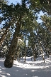 Winter, Howe Sound