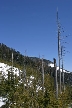 Winter, Howe Sound