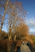 Burnaby Lake, Canada Stock Photos