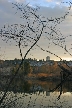 Burnaby Lake, Canada Stock Photos