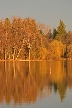 Burnaby Lake, Canada Stock Photos