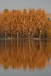 Burnaby Deer Lake Park, Canada Stock Photos