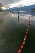 Barnet Beach, Barnet Marine Park