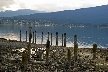 Barnet Beach, Barnet Marine Park