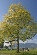 Vancouver Parks, Canada Stock Photos