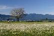 Vancouver Parks, Canada Stock Photos