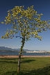 Vancouver Parks, Canada Stock Photos