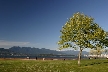 Vancouver Parks, Canada Stock Photos