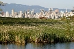 Vancouver Parks, Canada Stock Photos