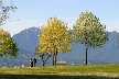 Vancouver Parks, Canada Stock Photos