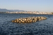 Downtown Skyline, Vancouver