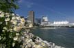 Downtown Vancouver, Canada Stock Photos