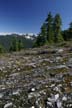 Cypress Mountain, West Vancouver