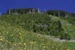 Cypress Mountain, West Vancouver