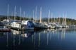 Coal Harbour Boats, Canada Stock Photos