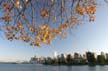 Downtown Vancouver, Stanley Park View