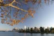 Downtown Vancouver, Stanley Park View