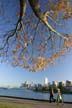 Downtown Vancouver, Stanley Park View