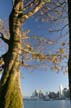 Downtown Vancouver, Stanley Park View