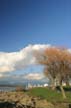 Winter Scenes, Kitsilano Beach