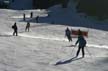 Skiing, Whistler