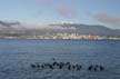 North Vancouver Skyline, Canada Stock Photos