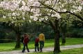 Spring Time, Stanley Park