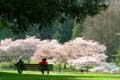 Spring Time, Stanley Park