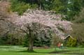 Spring Time, Stanley Park