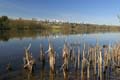 Burnaby Deer Lake, Deer Lake Park